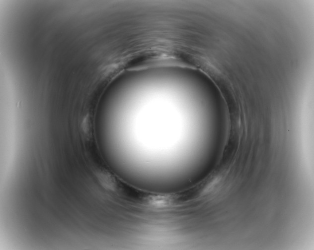 X0000086990088200704301346