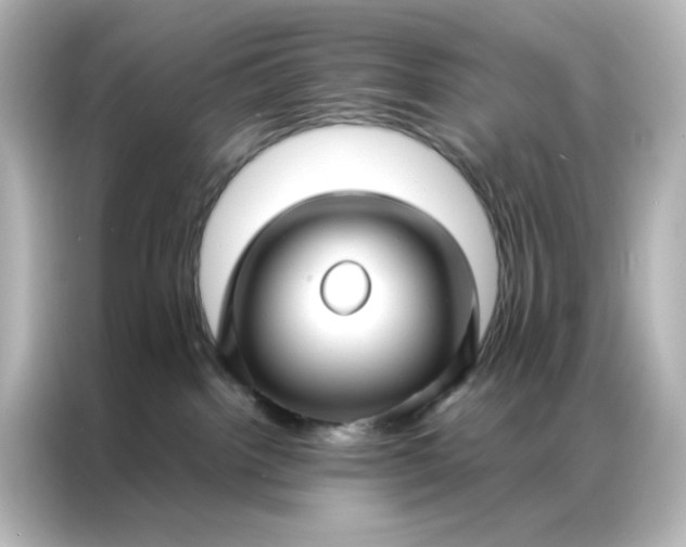 X0000086990092200704301346