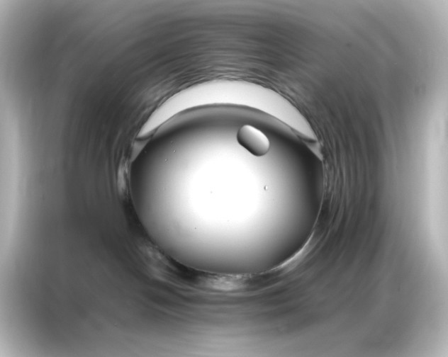 X0000086990094200704301346