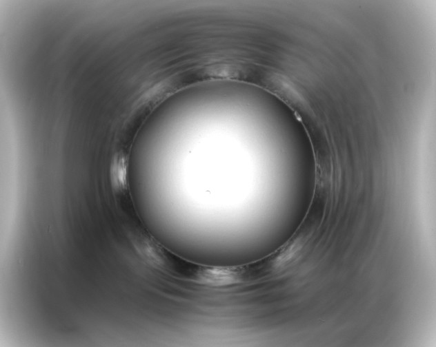 X0000086990095200704301346