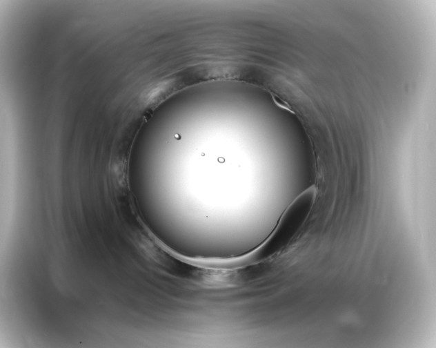 X0000086990096200704301346