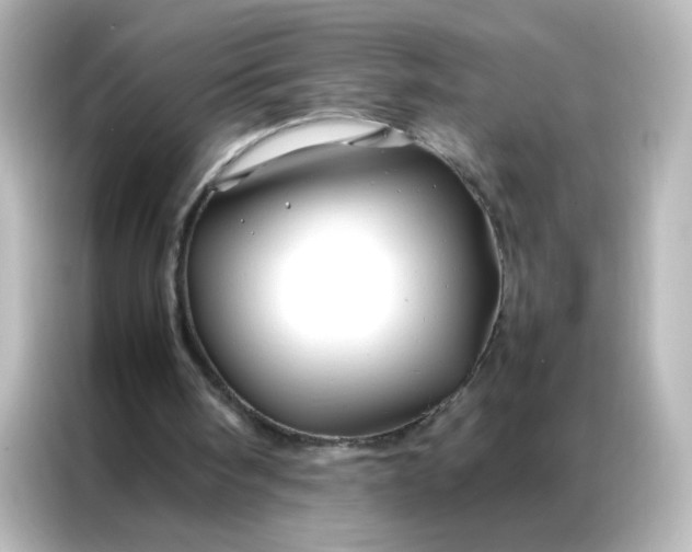 X0000086990098200704301345