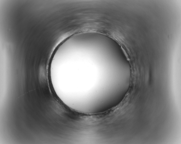 X0000086990100200704301345