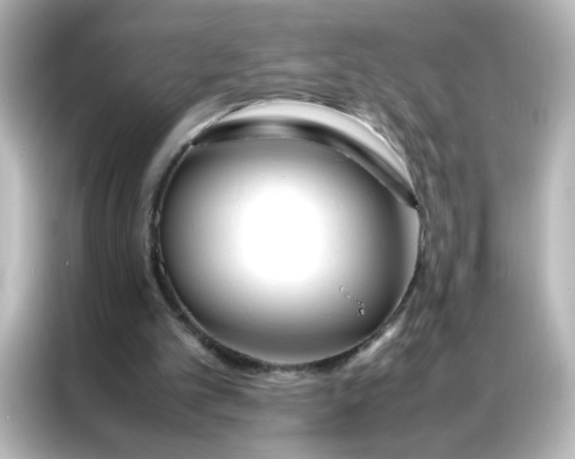 X0000086990101200704301345