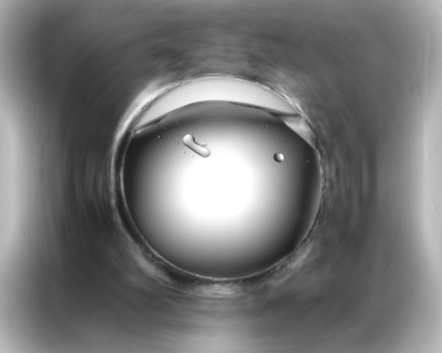 X0000086990102200704301345