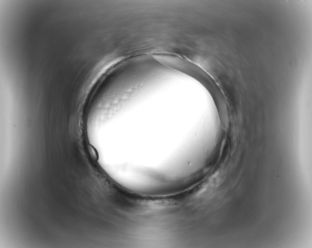 X0000086990103200704301345