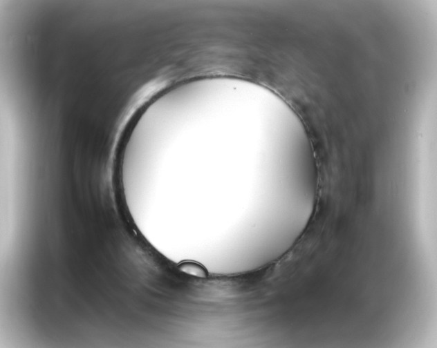 X0000086990104200704301345