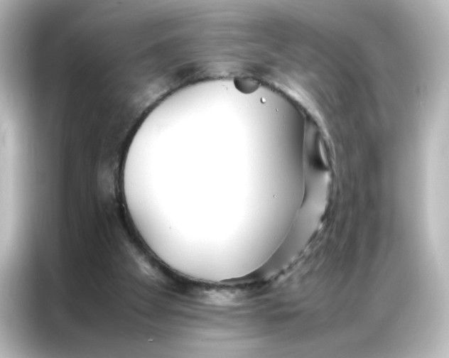 X0000086990105200704301345