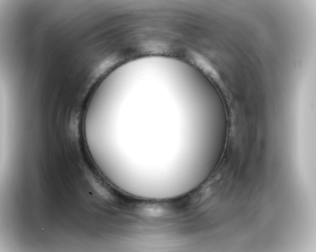 X0000086990106200704301345