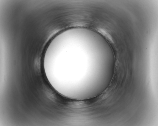 X0000086990108200704301345