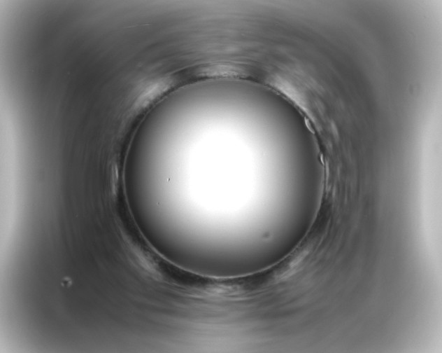 X0000086990109200704301345