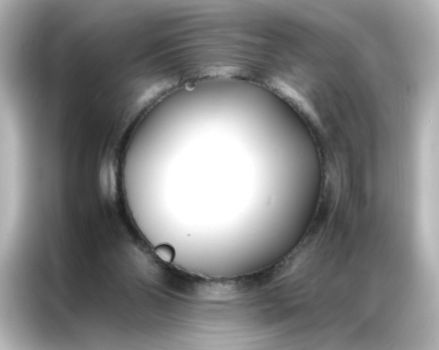 X0000086990110200704301345