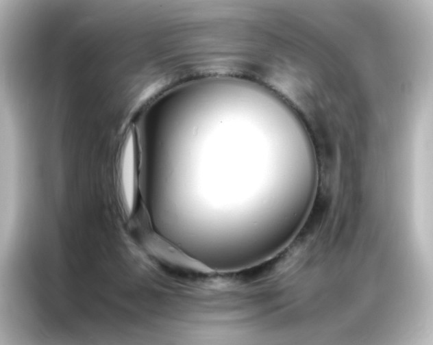 X0000086990111200704301345