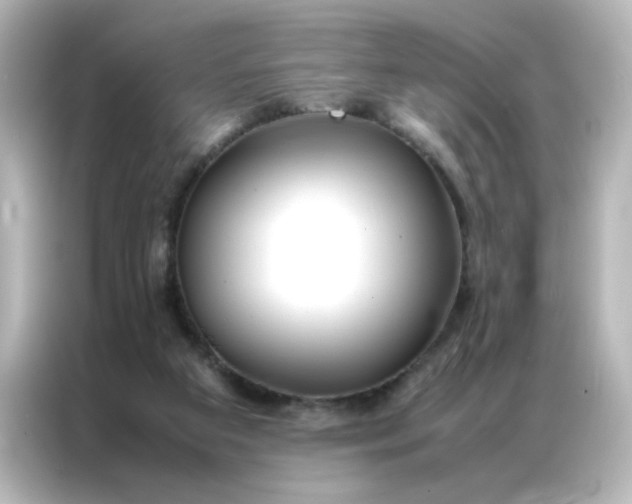 X0000086990113200704301345