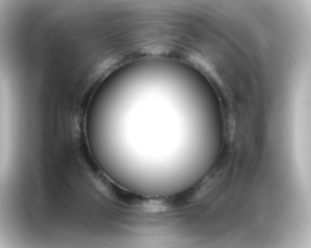 X0000086990114200704301345