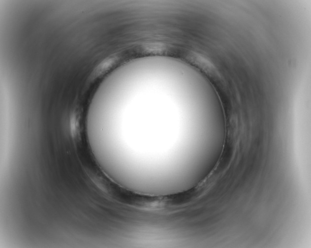 X0000086990116200704301345