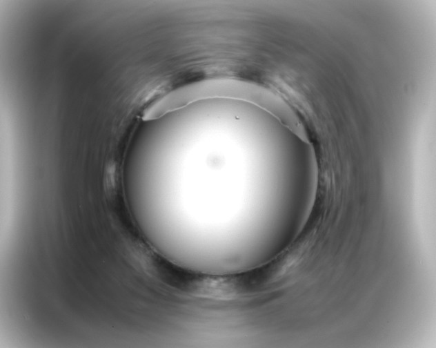 X0000086990117200704301345