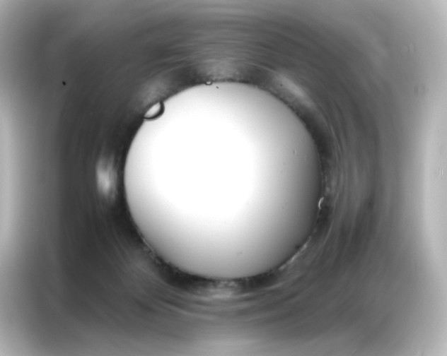 X0000086990124200704301345