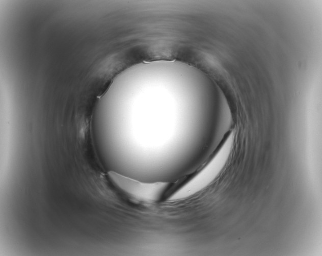 X0000086990125200704301345