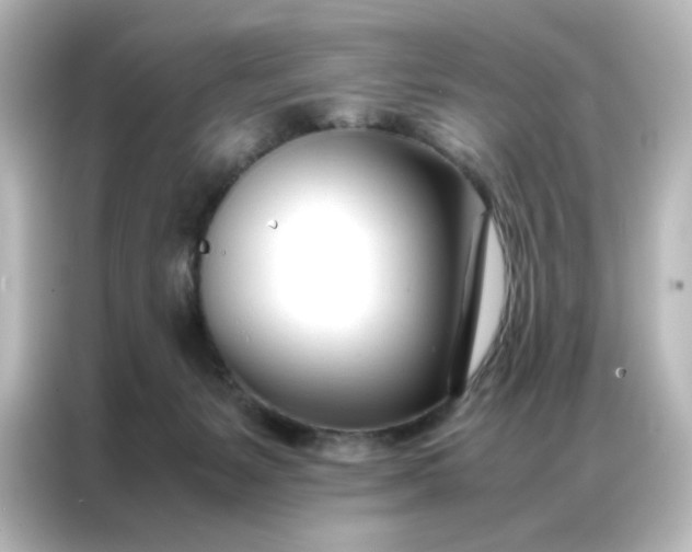 X0000086990127200704301345