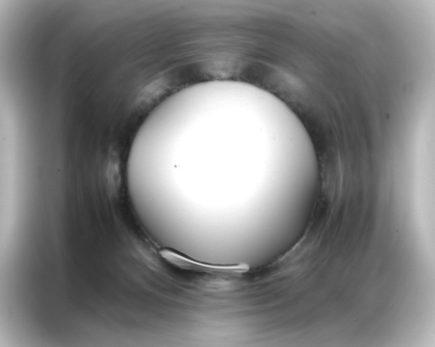 X0000086990128200704301345