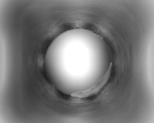 X0000086990129200704301345