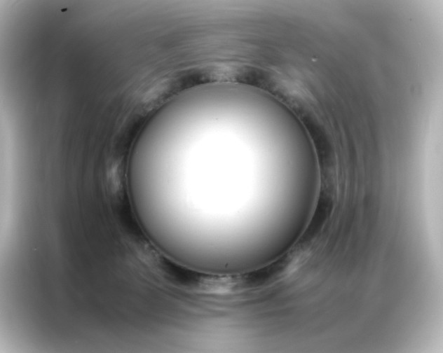 X0000086990131200704301345