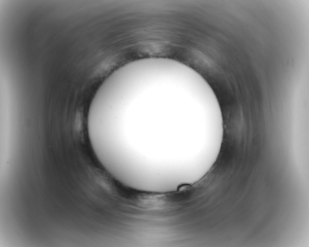 X0000086990132200704301345