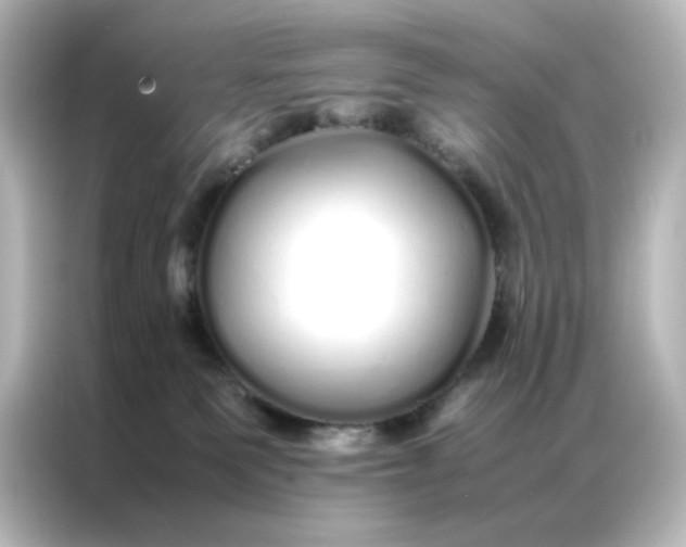 X0000086990135200704301345