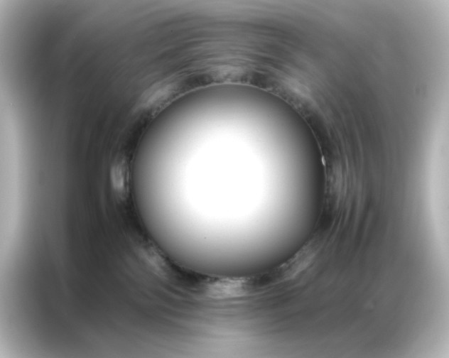 X0000086990138200704301345