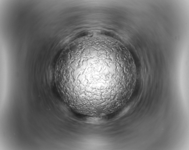 X0000086990139200704301345