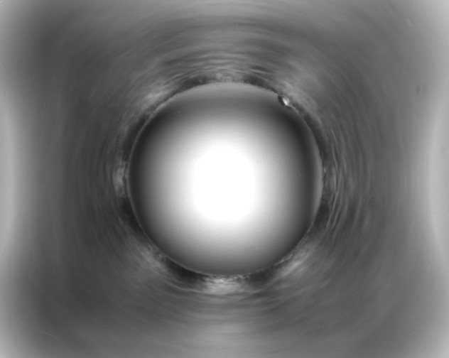 X0000086990141200704301345