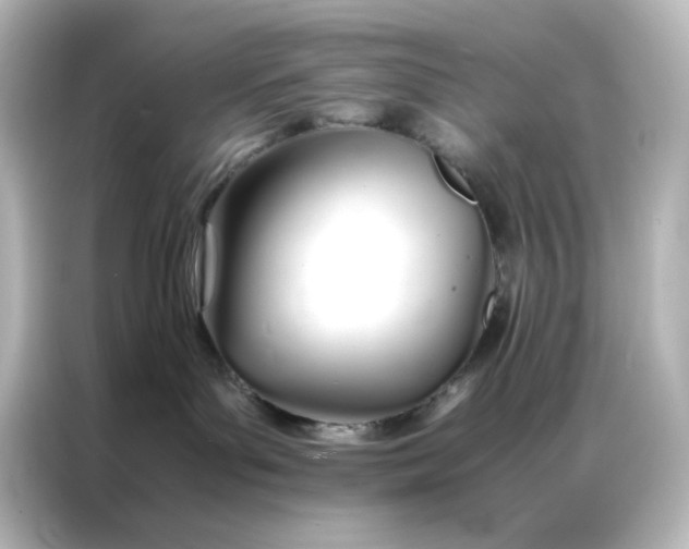 X0000086990143200704301345