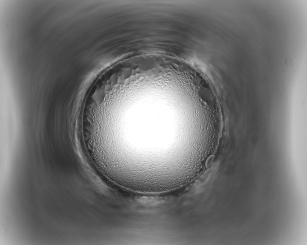 X0000086990145200704301344