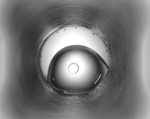 X0000086990146200704301344