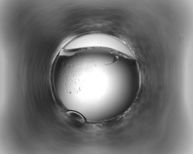 X0000086990147200704301344