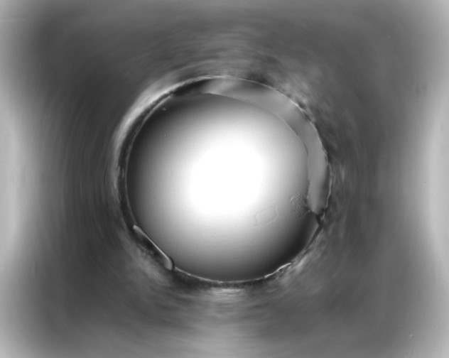 X0000086990150200704301344