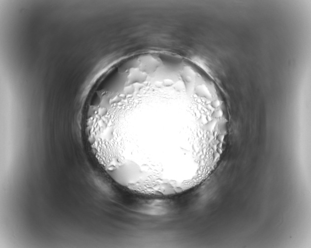 X0000086990151200704301344