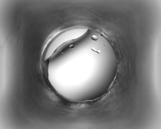 X0000086990152200704301344