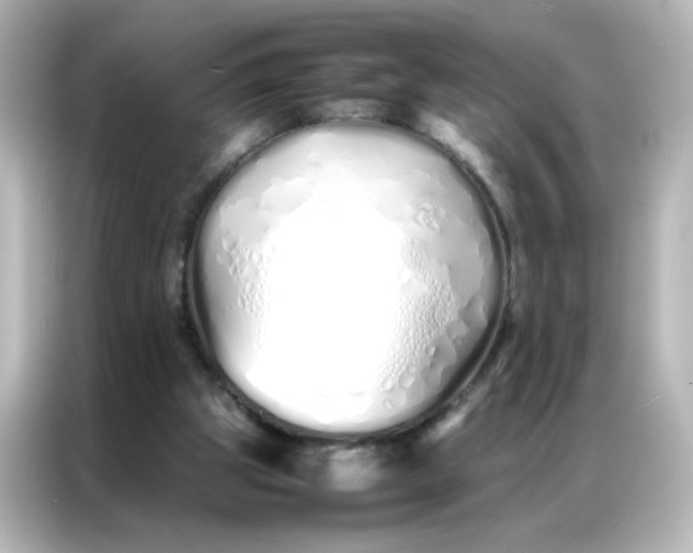 X0000086990153200704301344