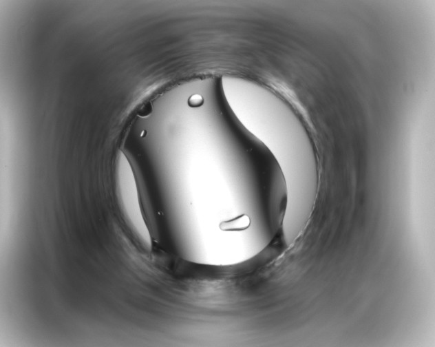 X0000086990154200704301344