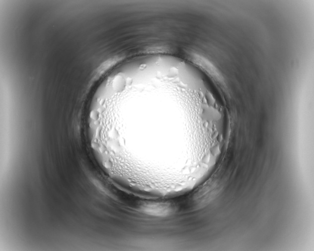 X0000086990155200704301344