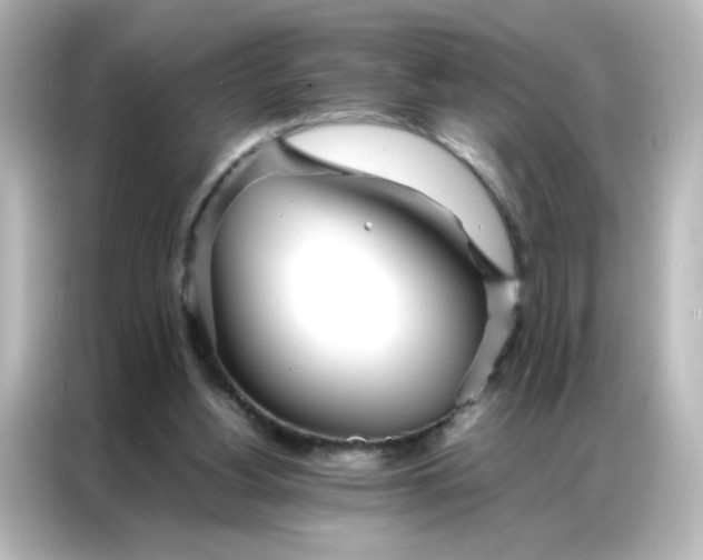 X0000086990156200704301344