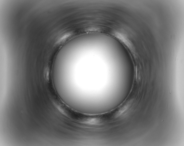 X0000086990157200704301344