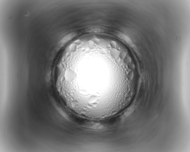 X0000086990159200704301344