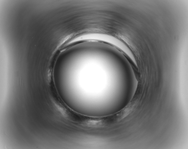 X0000086990160200704301344