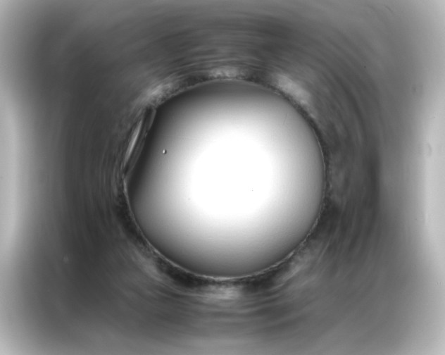 X0000086990161200704301344