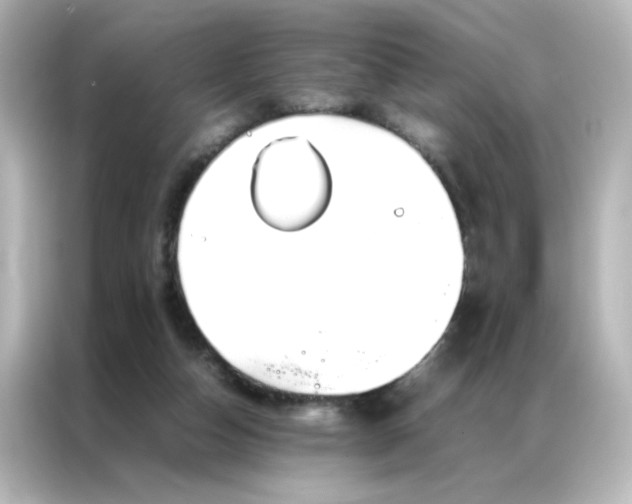 X0000086990162200704301344