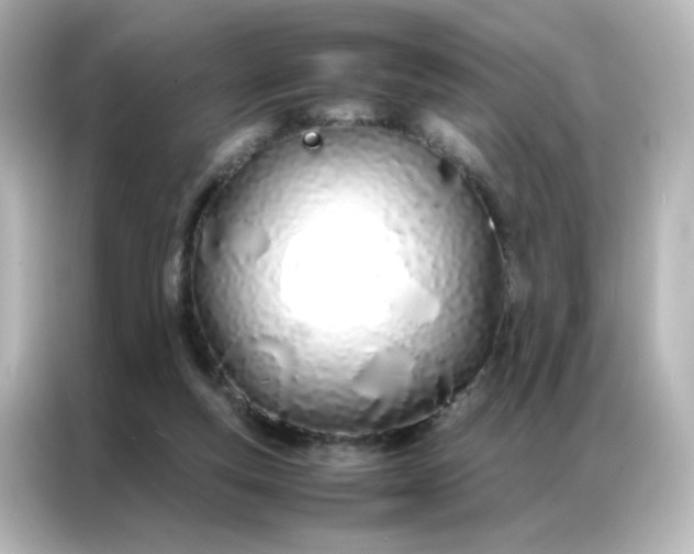 X0000086990163200704301344