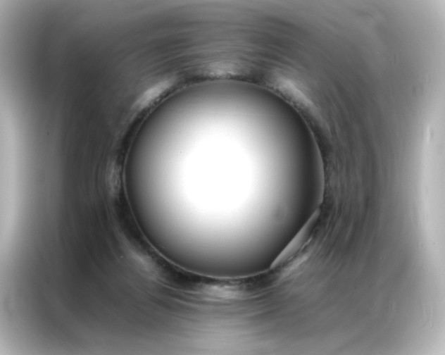 X0000086990164200704301344